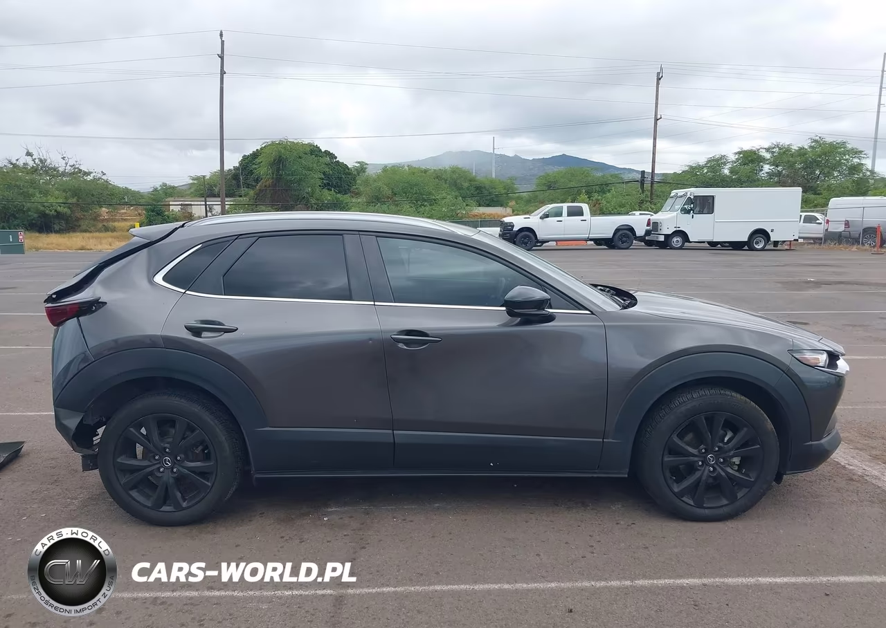 2021 Mazda Cx-30 2.5 Turbo VIN:3MVDMBAY9MM308436 - 13