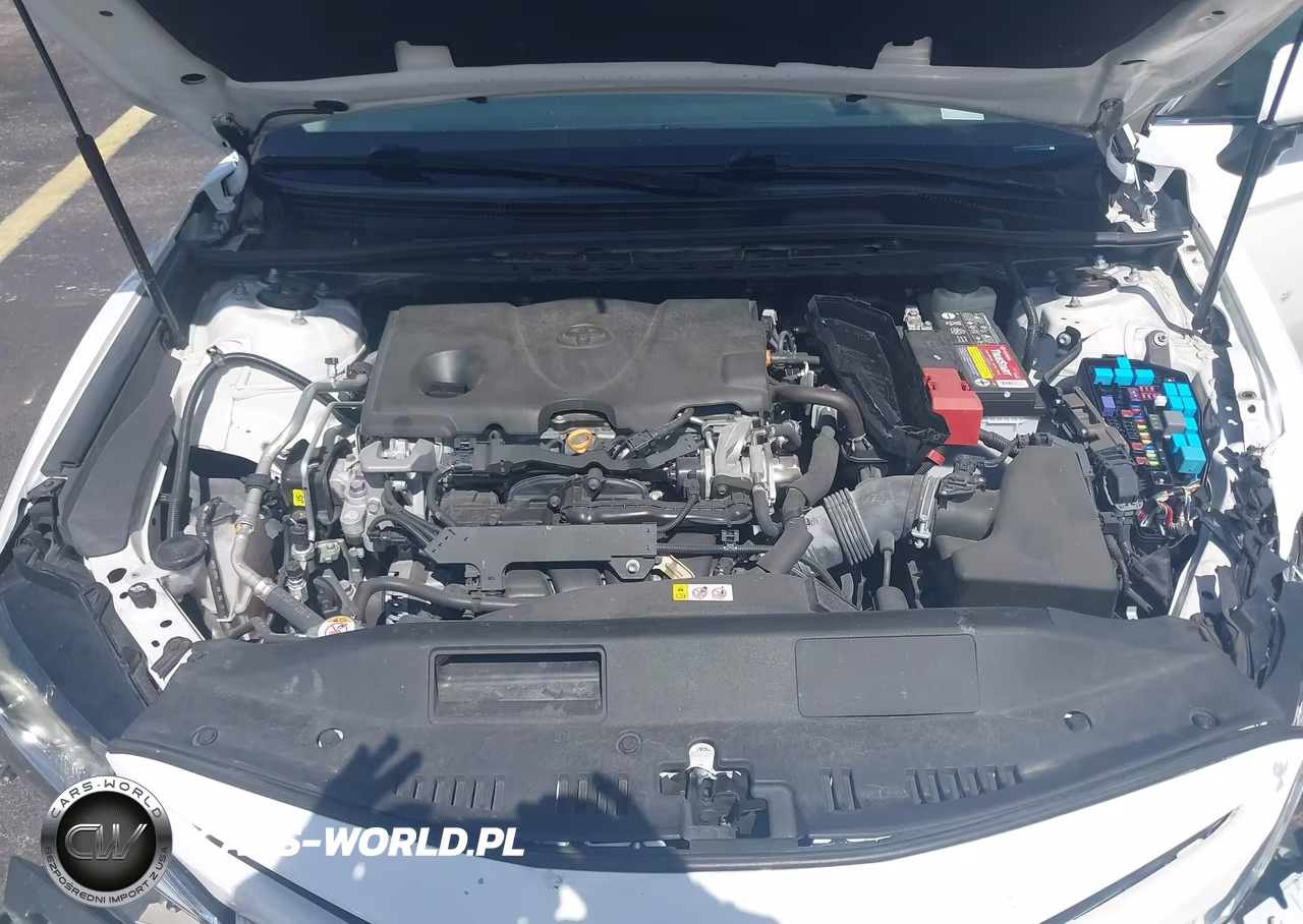2019 Toyota Camry Se VIN:4T1B11HK4KU853266 - 10