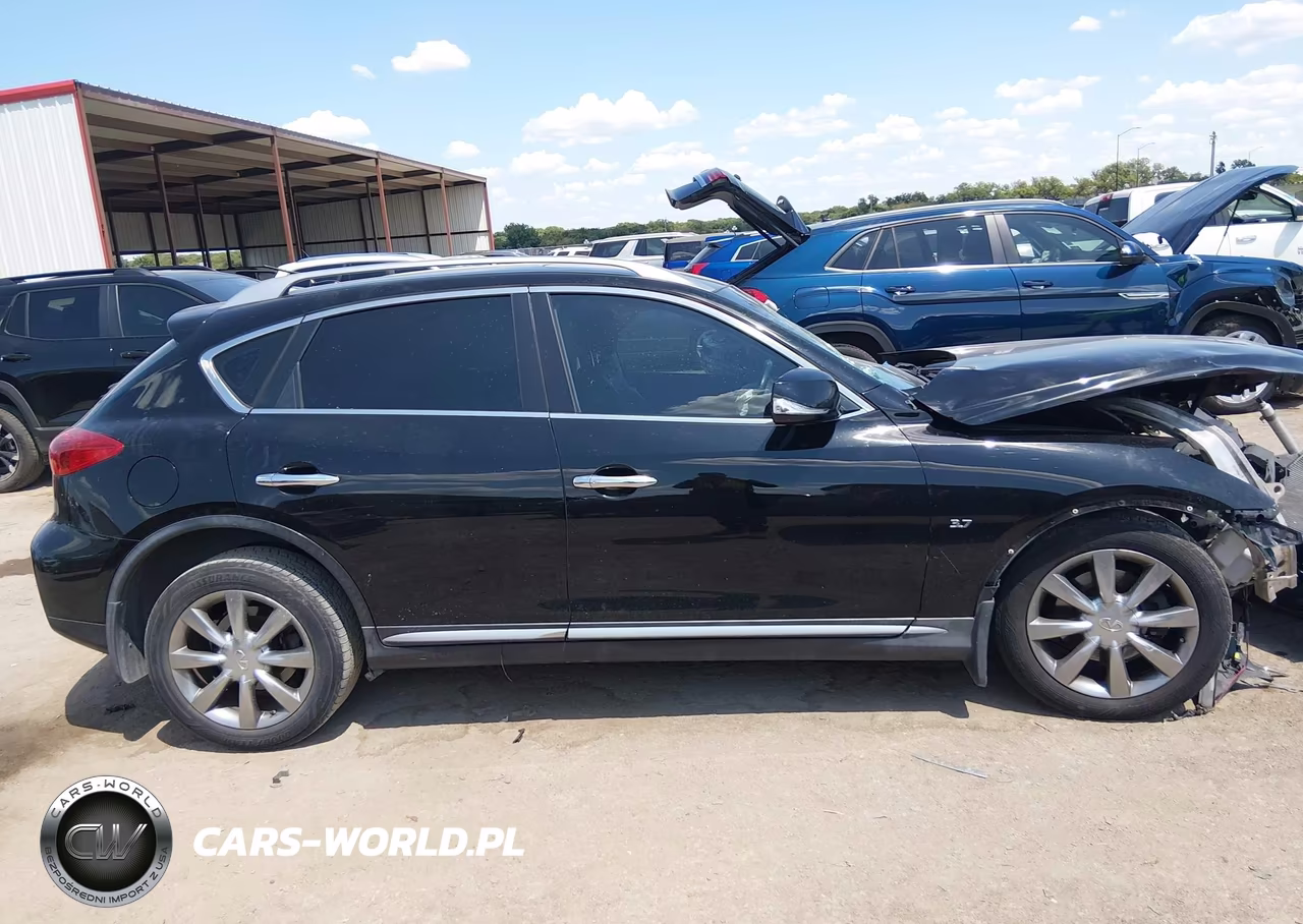 2016 Infiniti Qx50 VIN:JN1BJ0RPXGM232875 - 13