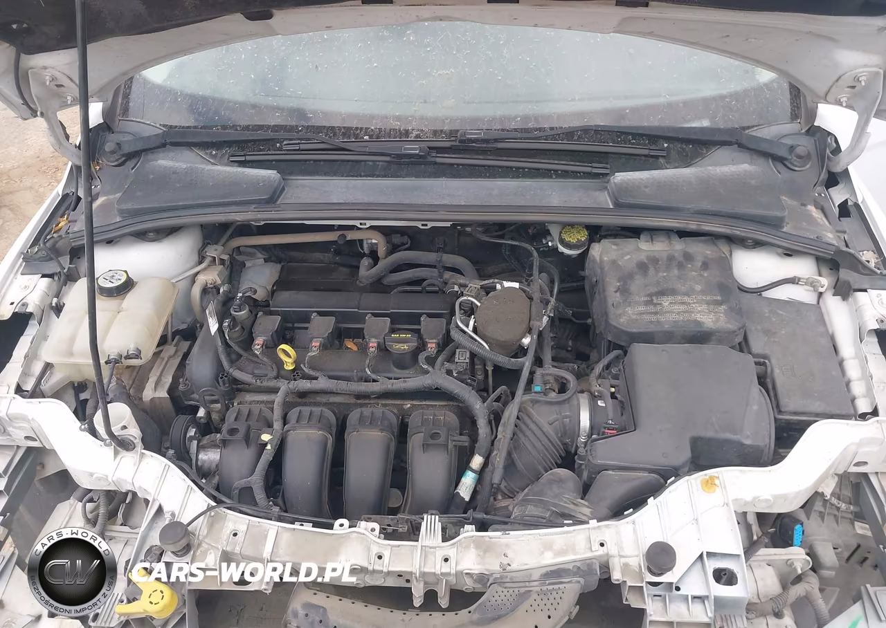 2013 Ford Focus Se VIN:1FADP3F29DL189121 - 10