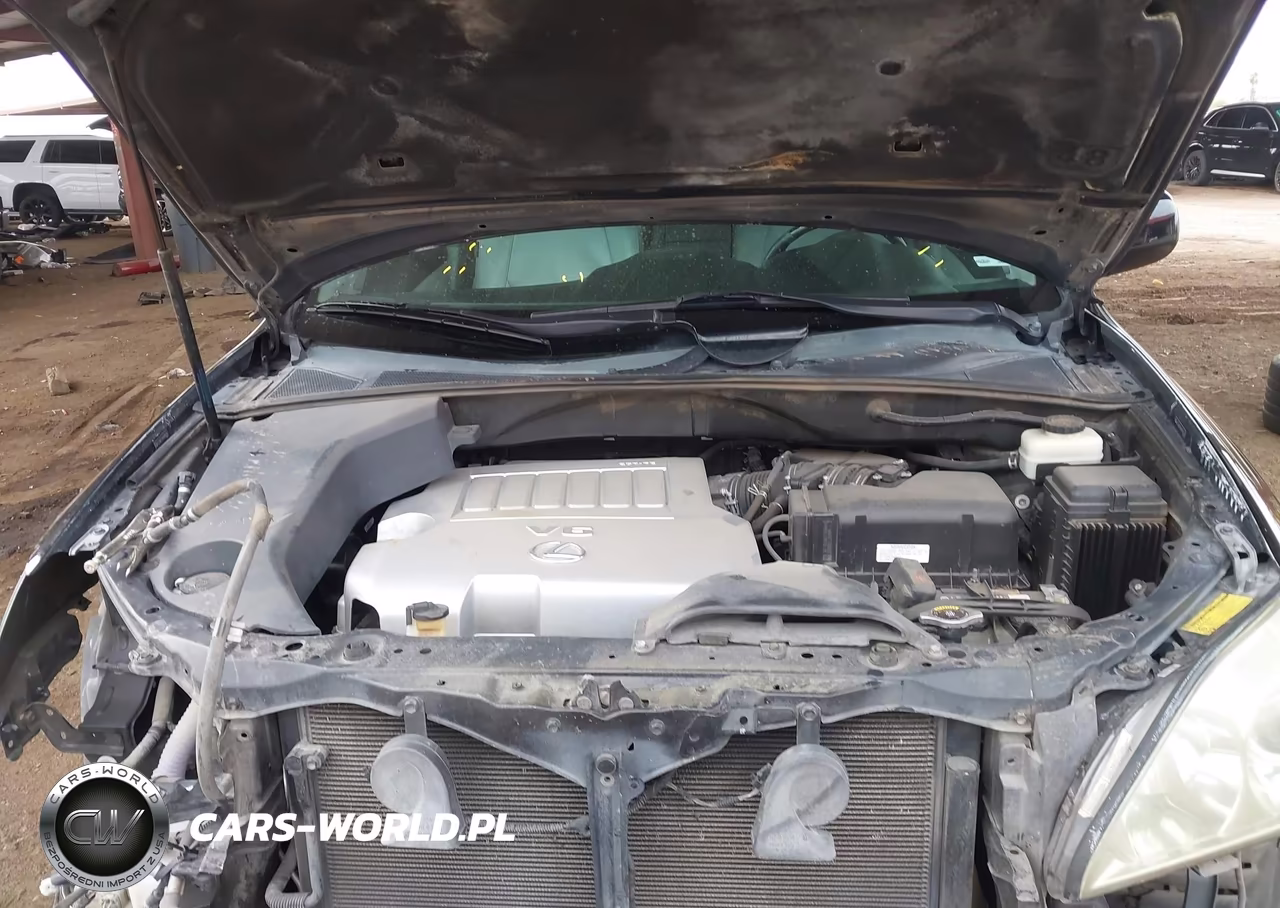 2009 Lexus Rx 350 VIN:2T2GK31U49C066142 - 10