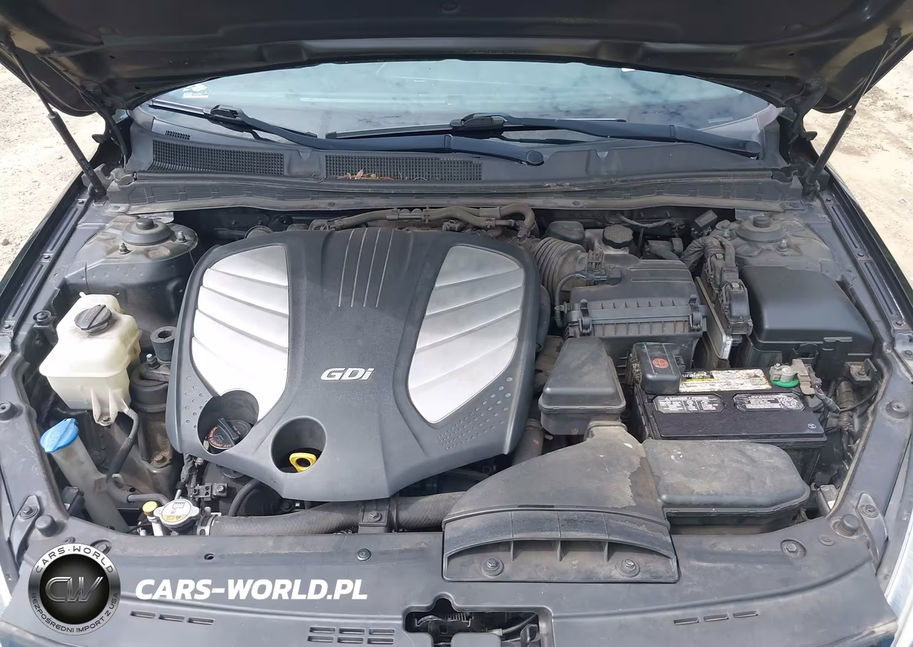 2014 Kia Cadenza Premium VIN:KNALN4D70E5167494 - 10