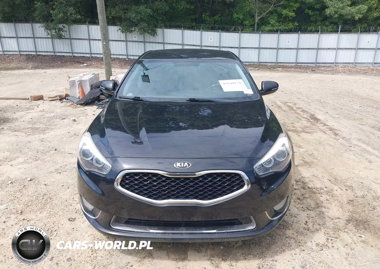2014 Kia Cadenza Premium VIN:KNALN4D70E5167494 - 12