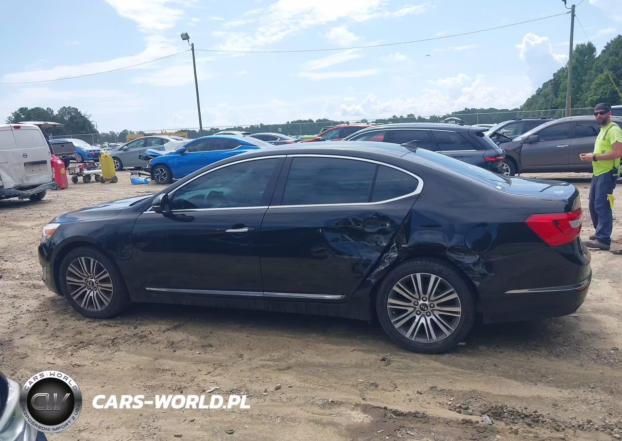 2014 Kia Cadenza Premium VIN:KNALN4D70E5167494 - 14