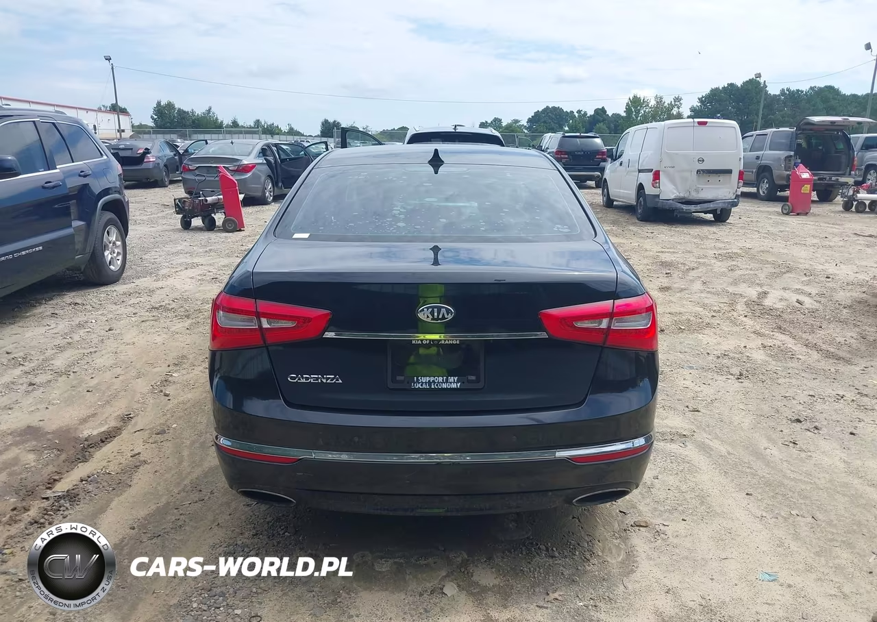 2014 Kia Cadenza Premium VIN:KNALN4D70E5167494 - 16