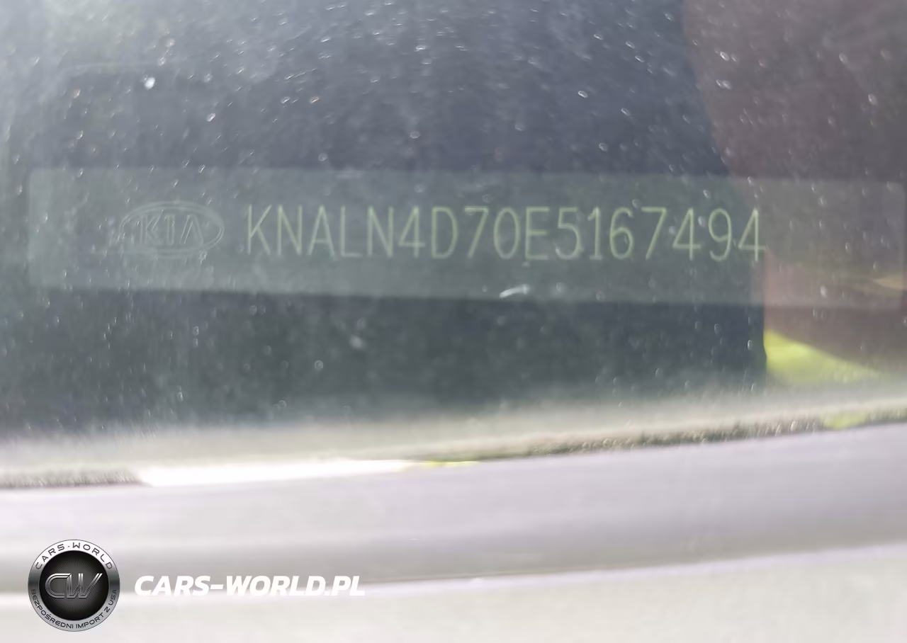 2014 Kia Cadenza Premium VIN:KNALN4D70E5167494 - 17