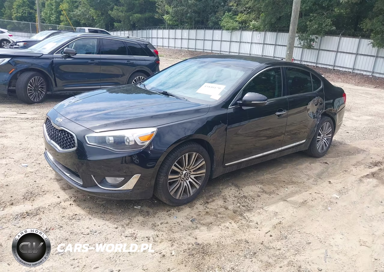 2014 Kia Cadenza Premium VIN:KNALN4D70E5167494 - 2