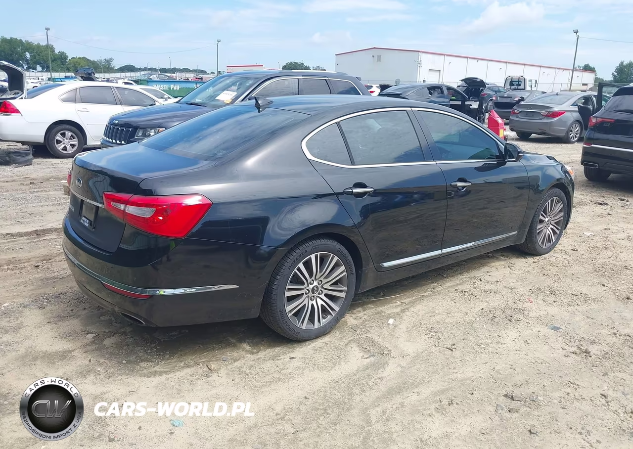 2014 Kia Cadenza Premium VIN:KNALN4D70E5167494 - 4