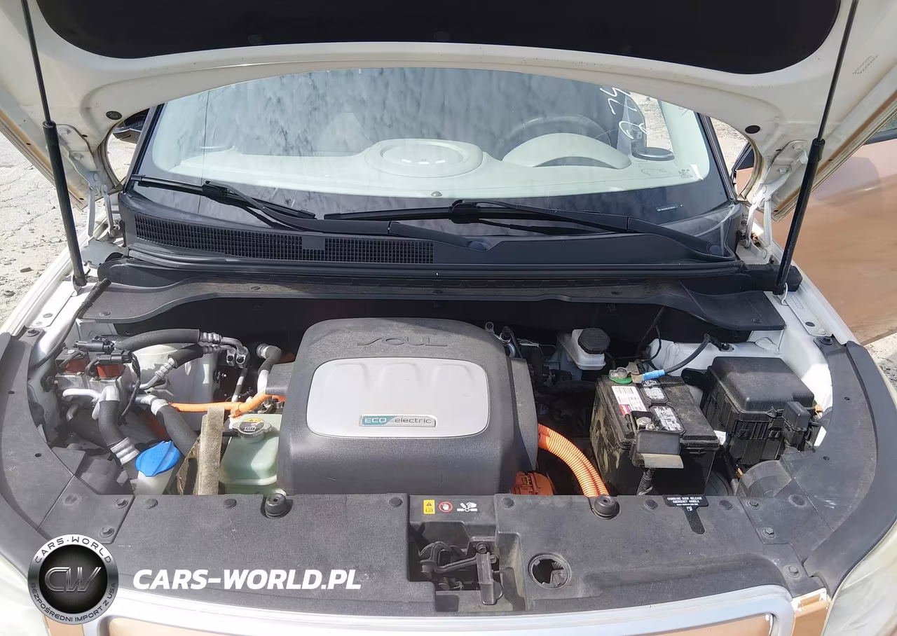 2016 Kia Soul Ev + VIN:KNDJX3AE2G7005505 - 10