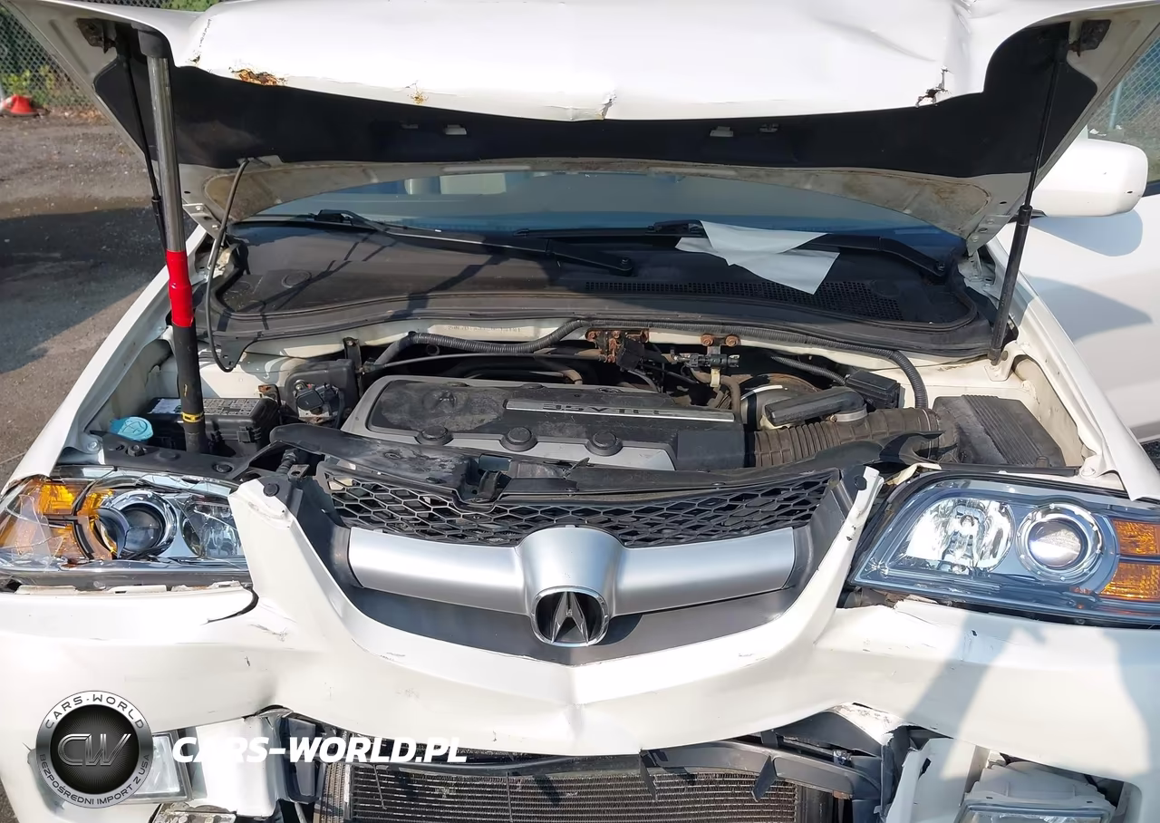 2005 Acura Mdx VIN:2HNYD18815H513181 - 10