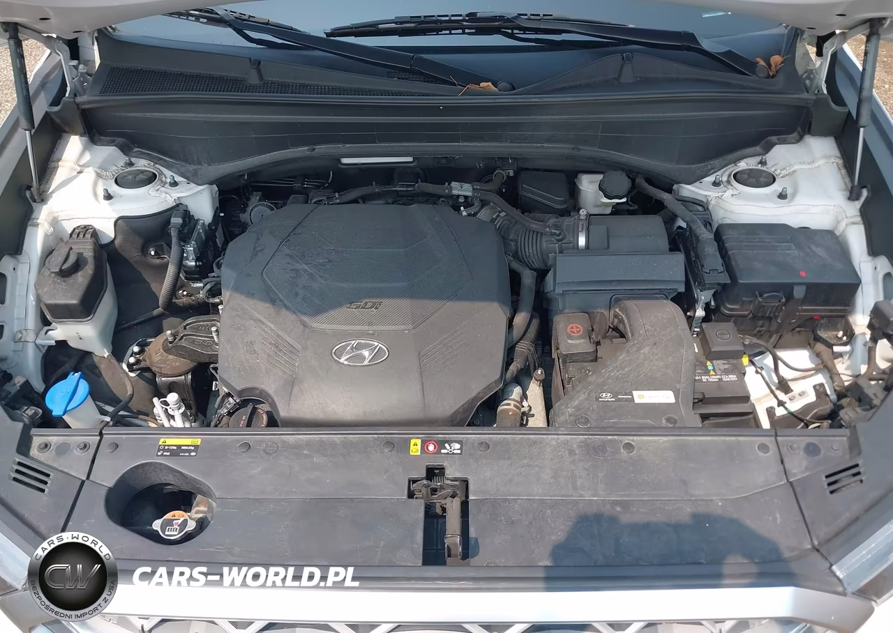 2020 Hyundai Palisade Limited VIN:KM8R5DHE9LU096817 - 10