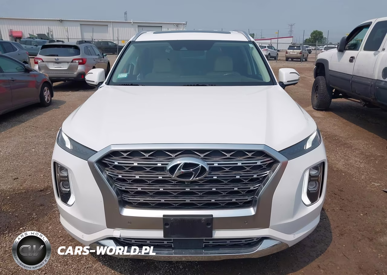 2020 Hyundai Palisade Limited VIN:KM8R5DHE9LU096817 - 12