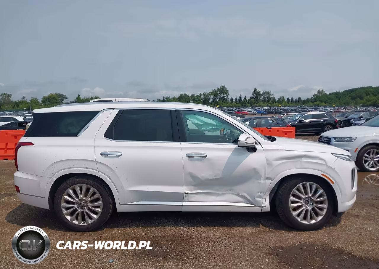 2020 Hyundai Palisade Limited VIN:KM8R5DHE9LU096817 - 13