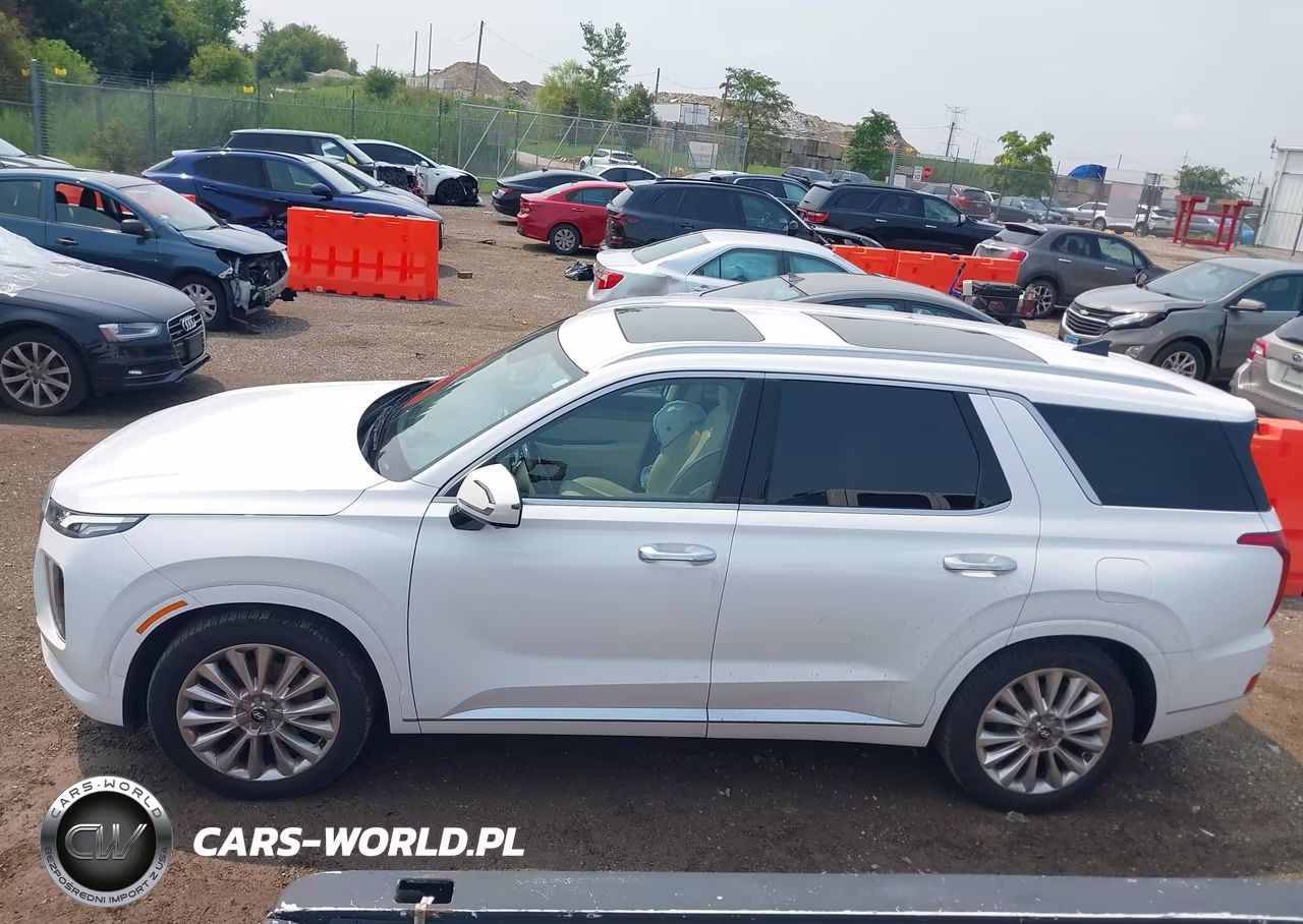 2020 Hyundai Palisade Limited VIN:KM8R5DHE9LU096817 - 14