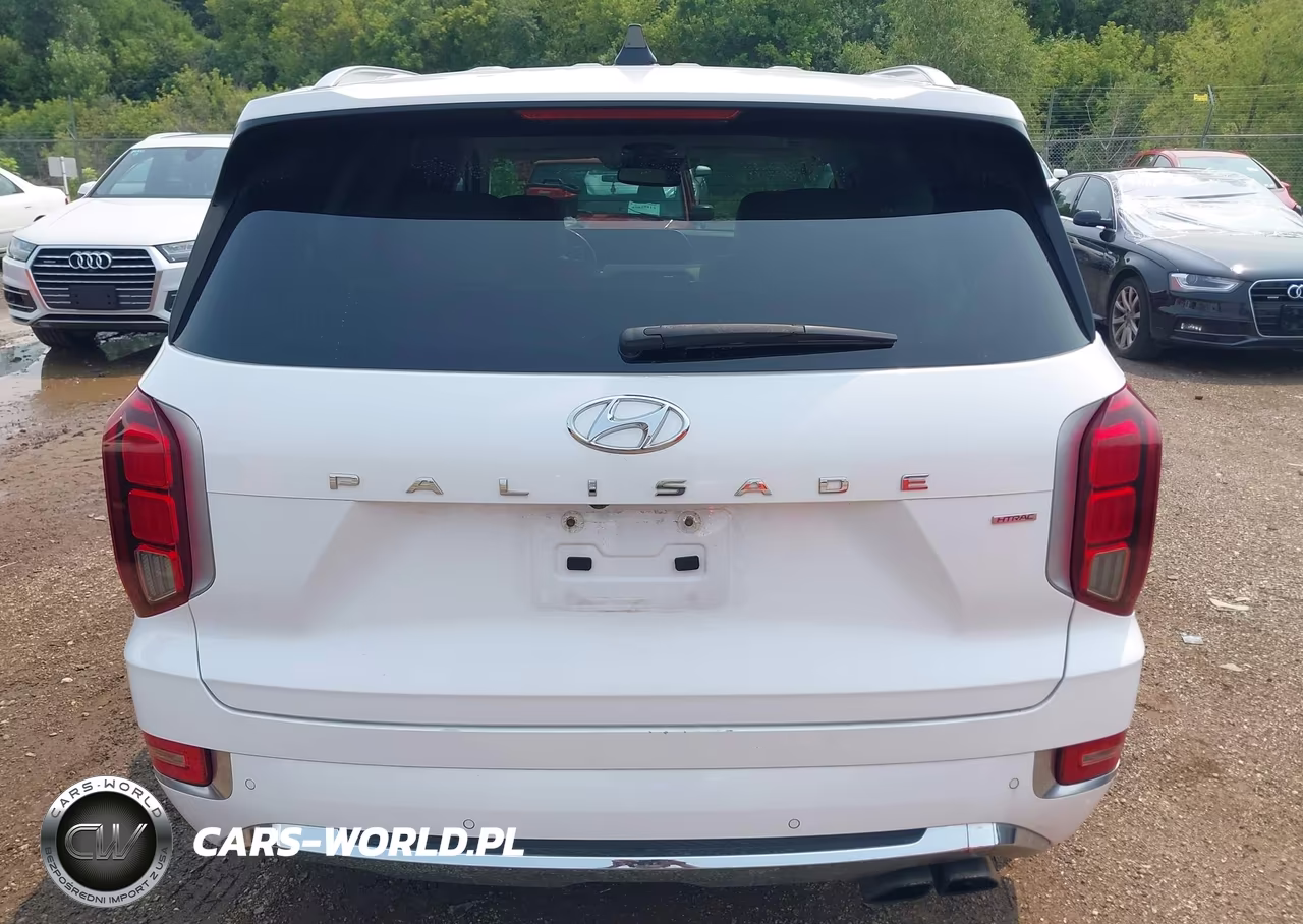 2020 Hyundai Palisade Limited VIN:KM8R5DHE9LU096817 - 16