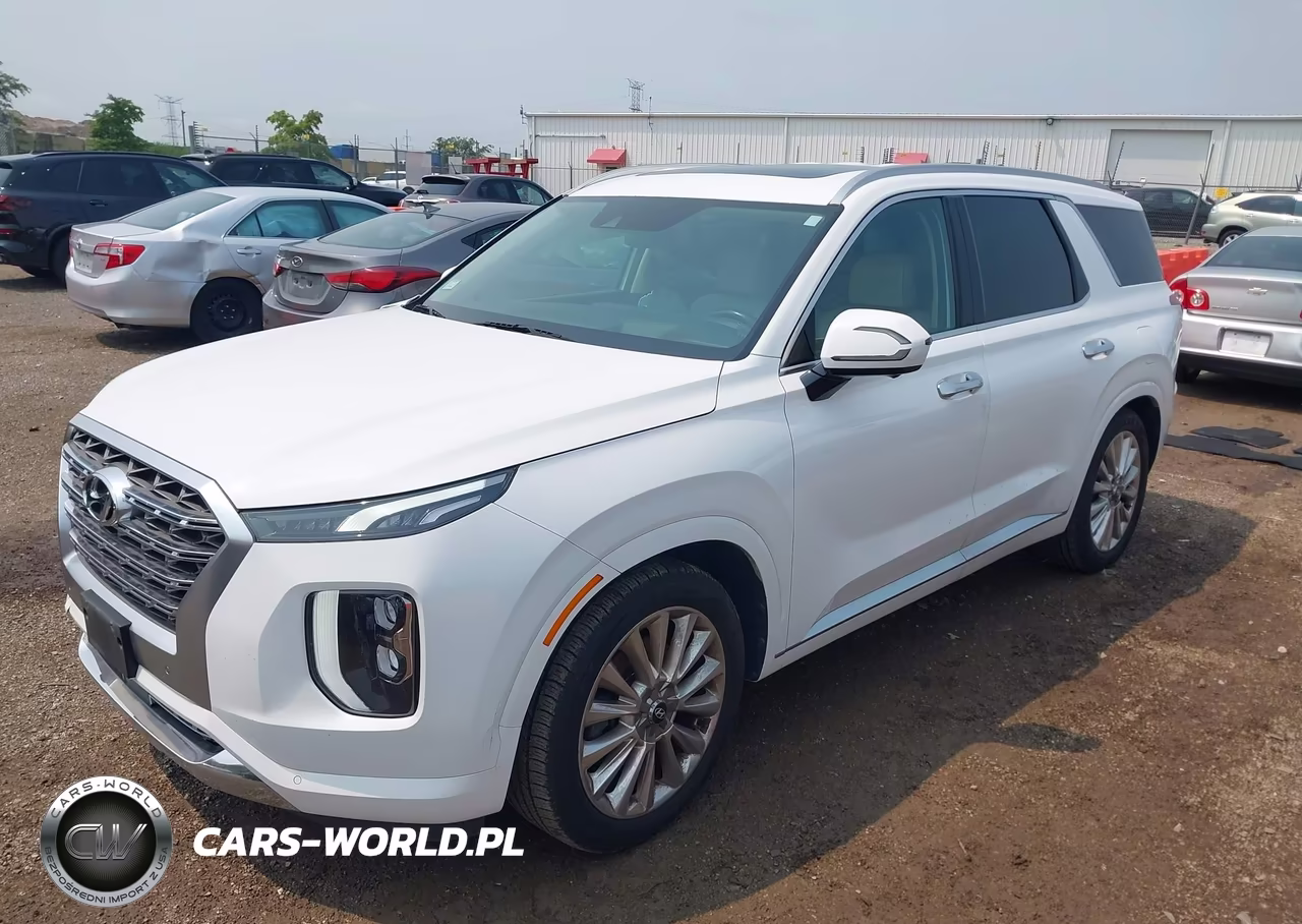 2020 Hyundai Palisade Limited VIN:KM8R5DHE9LU096817 - 2