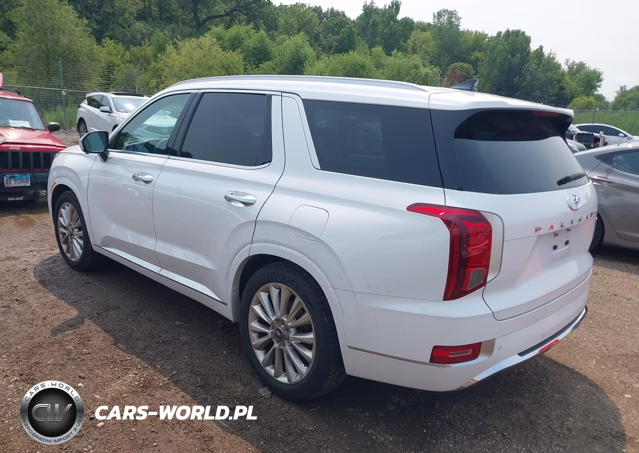 2020 Hyundai Palisade Limited VIN:KM8R5DHE9LU096817 - 3