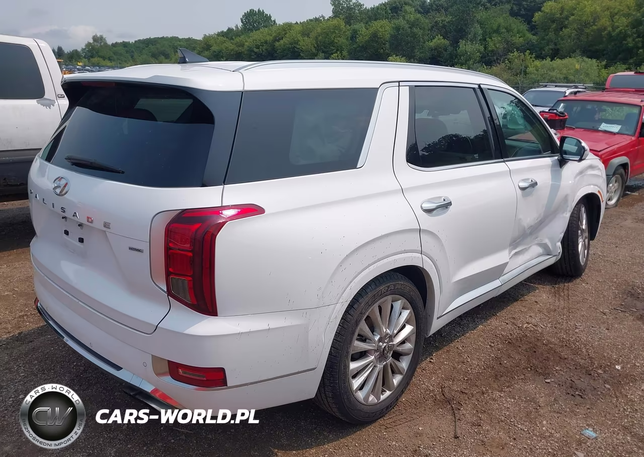 2020 Hyundai Palisade Limited VIN:KM8R5DHE9LU096817 - 4