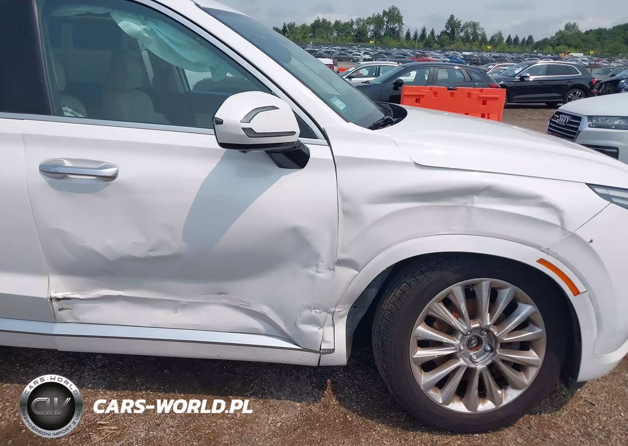 2020 Hyundai Palisade Limited VIN:KM8R5DHE9LU096817 - 6