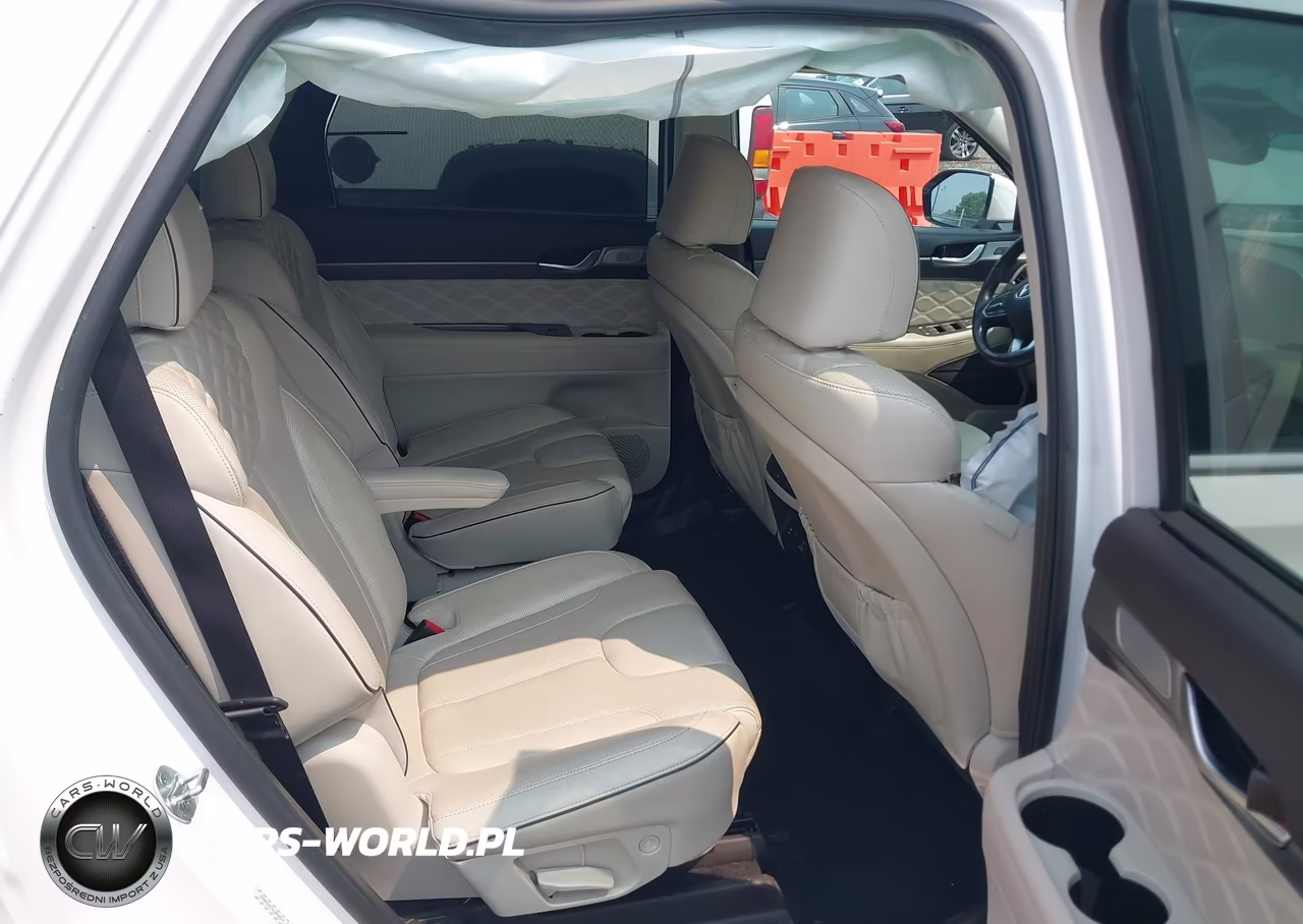 2020 Hyundai Palisade Limited VIN:KM8R5DHE9LU096817 - 8