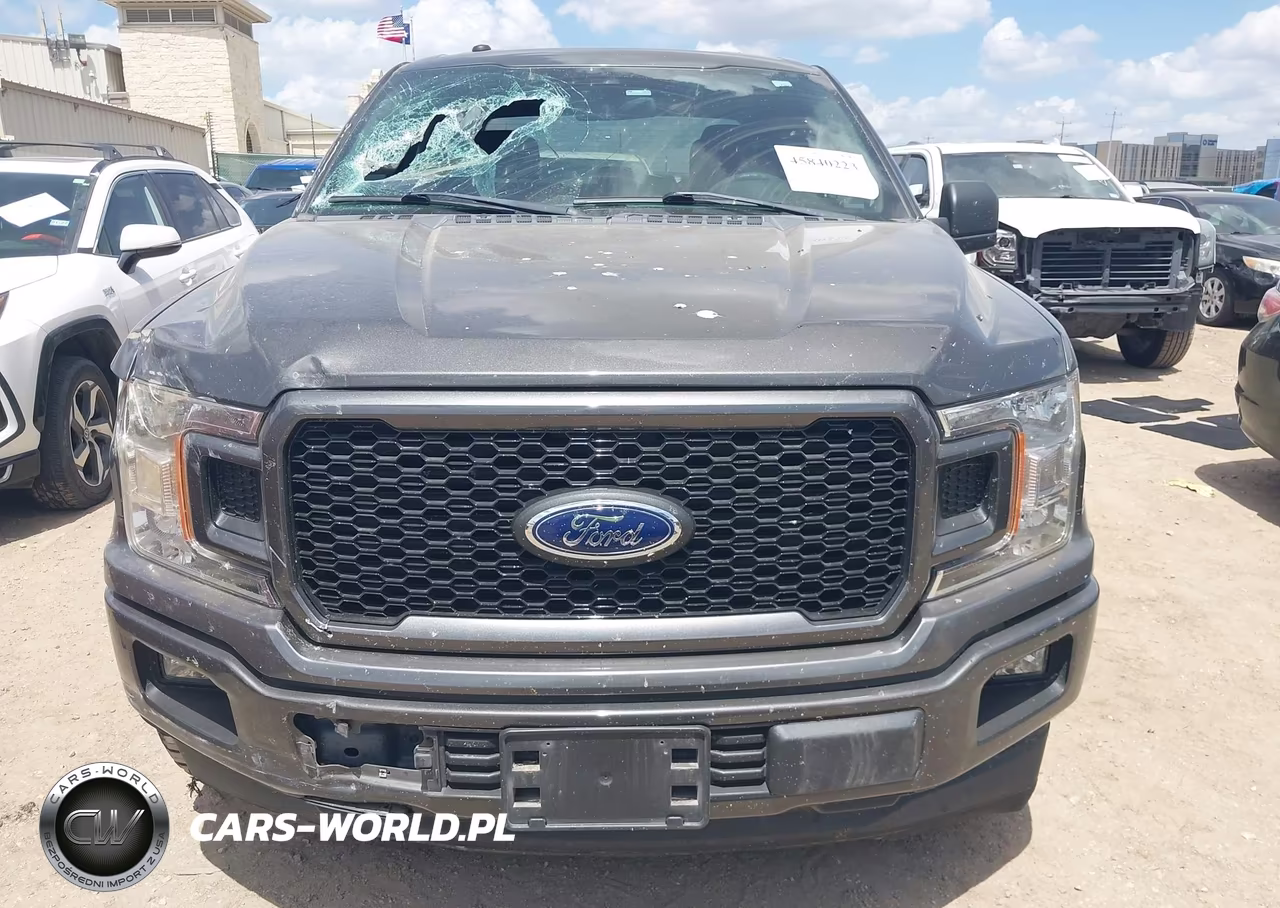 2019 Ford F-150 Xl VIN:1FTEW1C50KKE24173 - 12