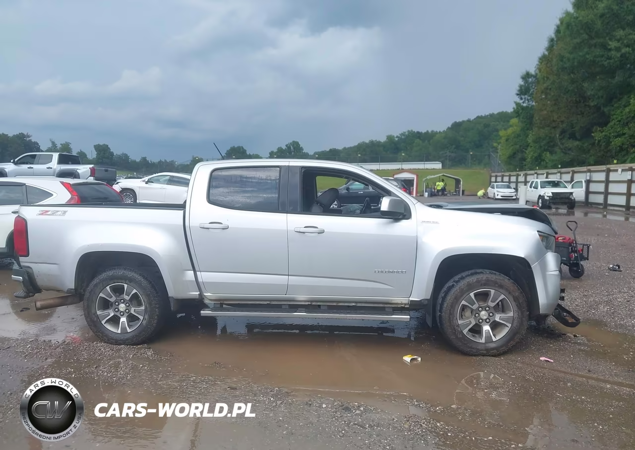 2016 Chevrolet Colorado 4Wd Z71 VIN:1GCPTDE1XG1347659 - 13