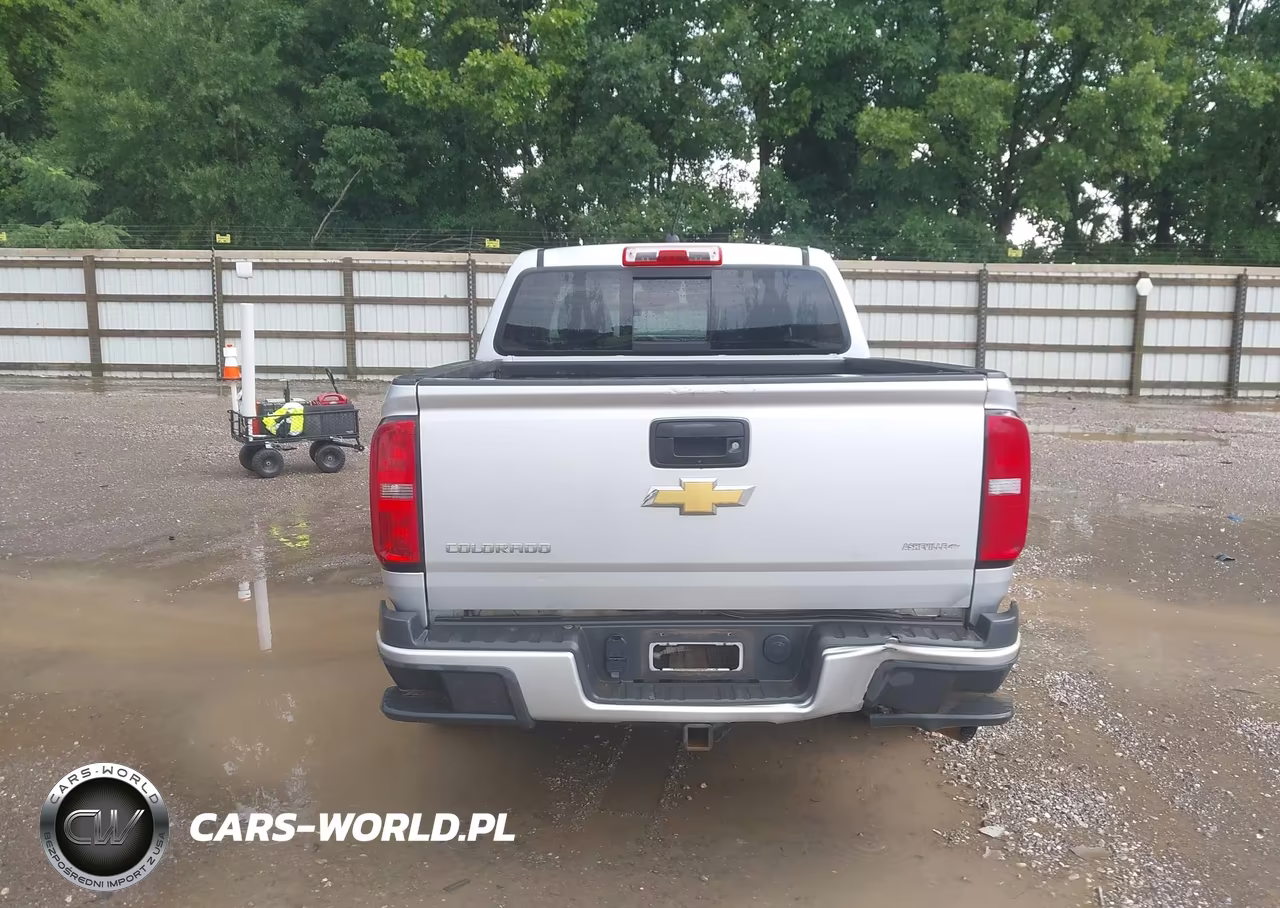 2016 Chevrolet Colorado 4Wd Z71 VIN:1GCPTDE1XG1347659 - 16