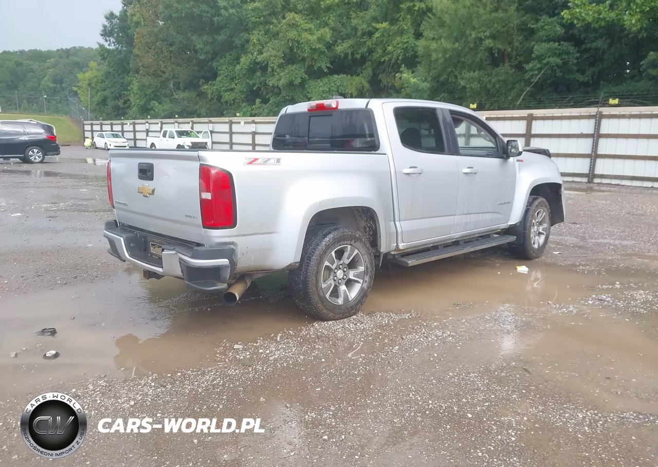 2016 Chevrolet Colorado 4Wd Z71 VIN:1GCPTDE1XG1347659 - 4