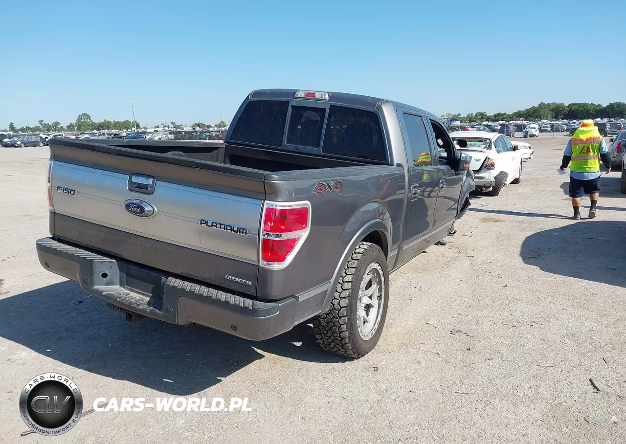 2014 Ford F-150 Platinum VIN:1FTFW1EF4EFC50051 - 4