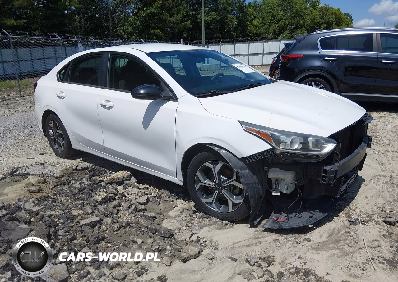 2019 Kia Forte Lxs