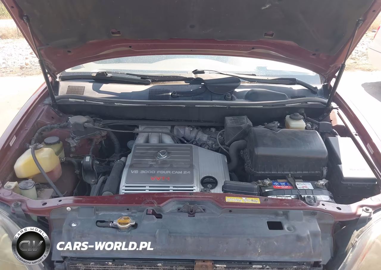 1999 Lexus Rx 300 VIN:JT6HF10UXX0027542 - 10