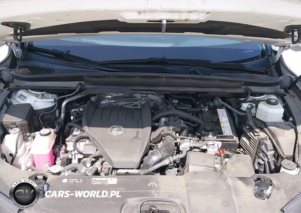 2023 Lexus Rx 350 Premium Plus VIN:JTJCHMAA8P2004586 - 10