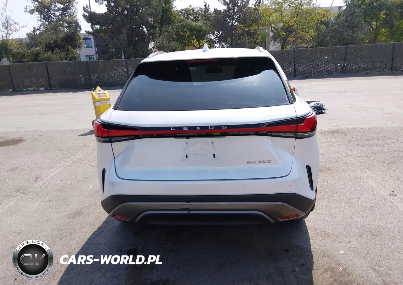 2023 Lexus Rx 350 Premium Plus VIN:JTJCHMAA8P2004586 - 18