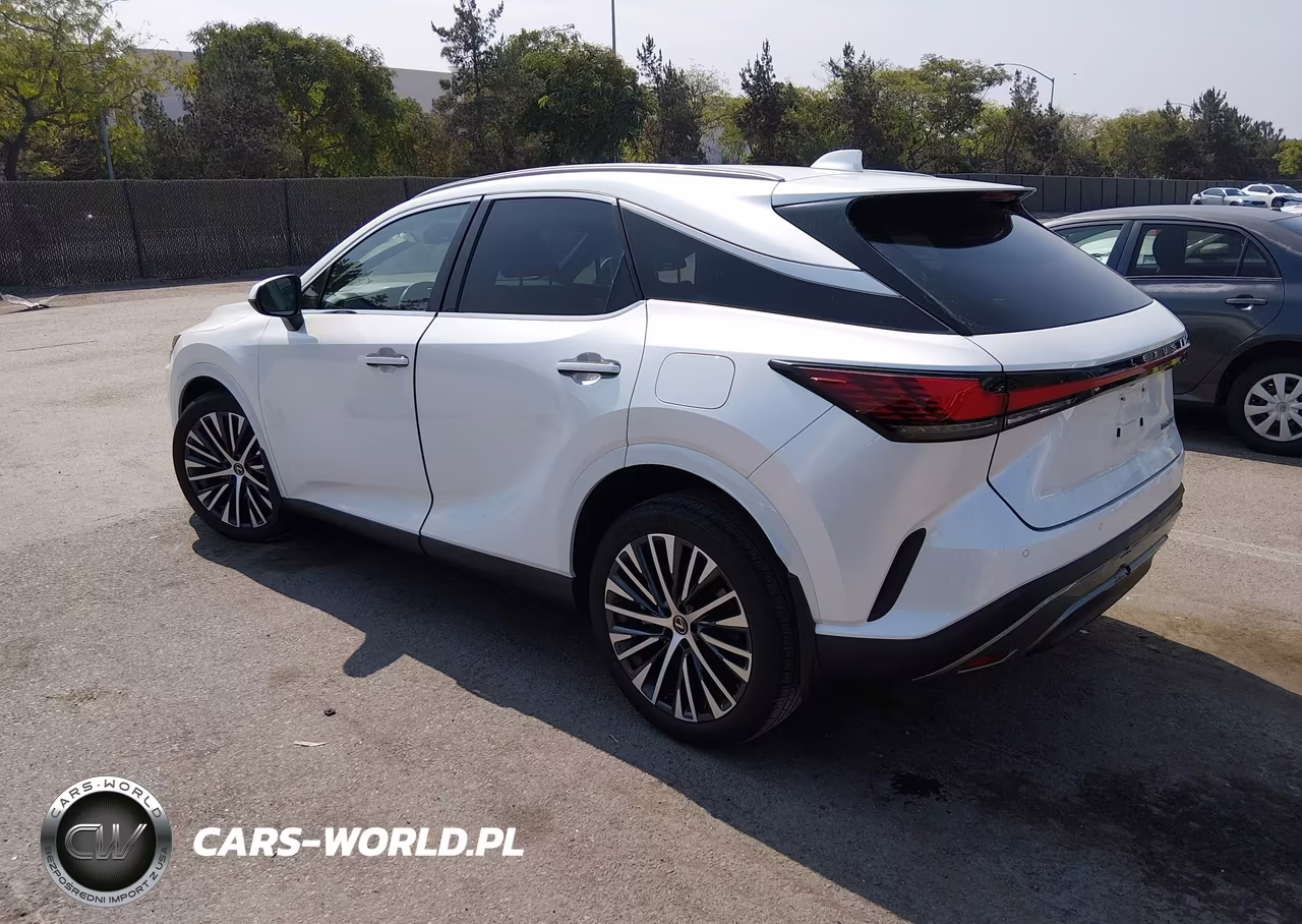 2023 Lexus Rx 350 Premium Plus VIN:JTJCHMAA8P2004586 - 3