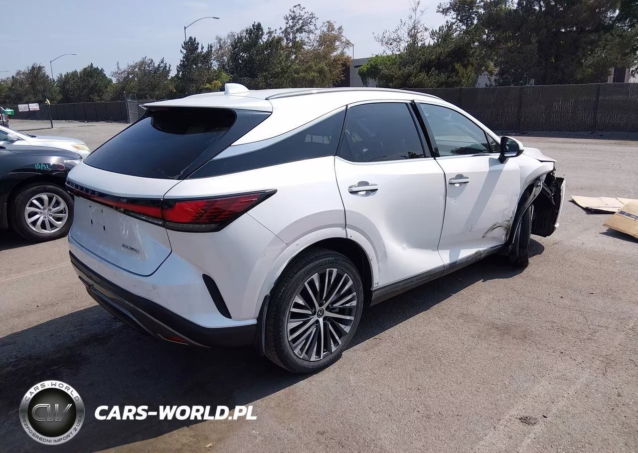 2023 Lexus Rx 350 Premium Plus VIN:JTJCHMAA8P2004586 - 4