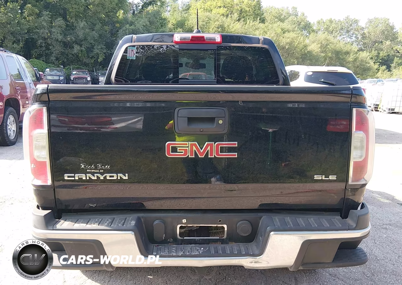 2016 GMC Canyon 2Wd Sle VIN:1GTG5CEA8G1393334 - 16