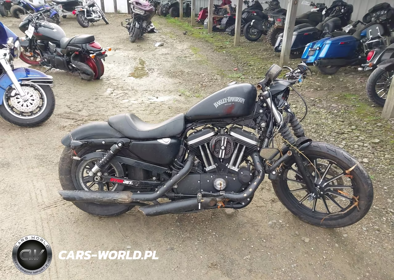 2014 Harley-Davidson Xl883 Iron 883 VIN:1HD4LE215EC435886 - 11