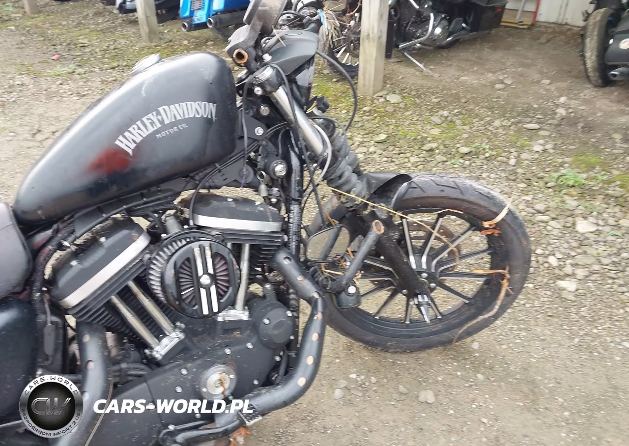 2014 Harley-Davidson Xl883 Iron 883 VIN:1HD4LE215EC435886 - 16