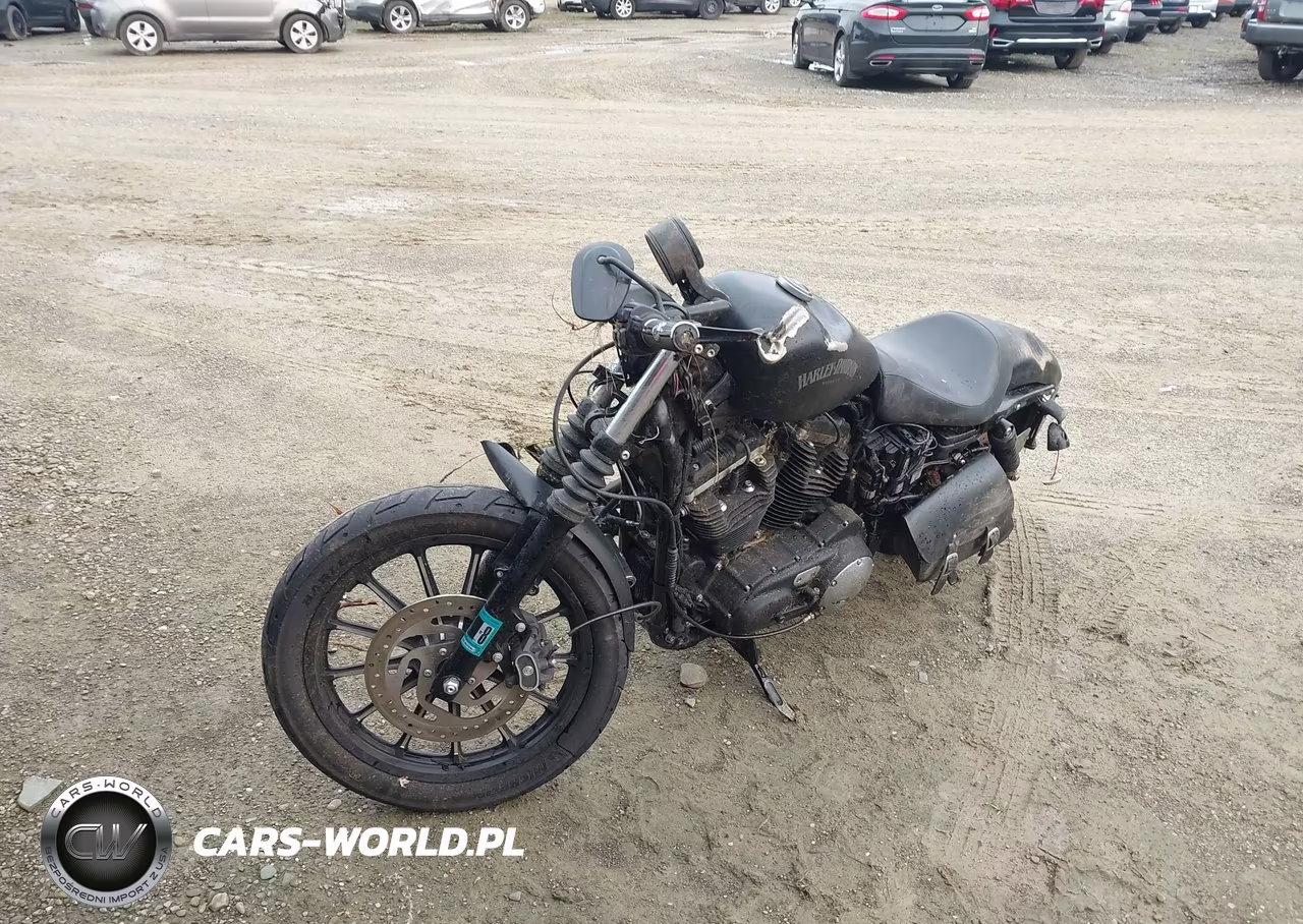 2014 Harley-Davidson Xl883 Iron 883 VIN:1HD4LE215EC435886 - 2