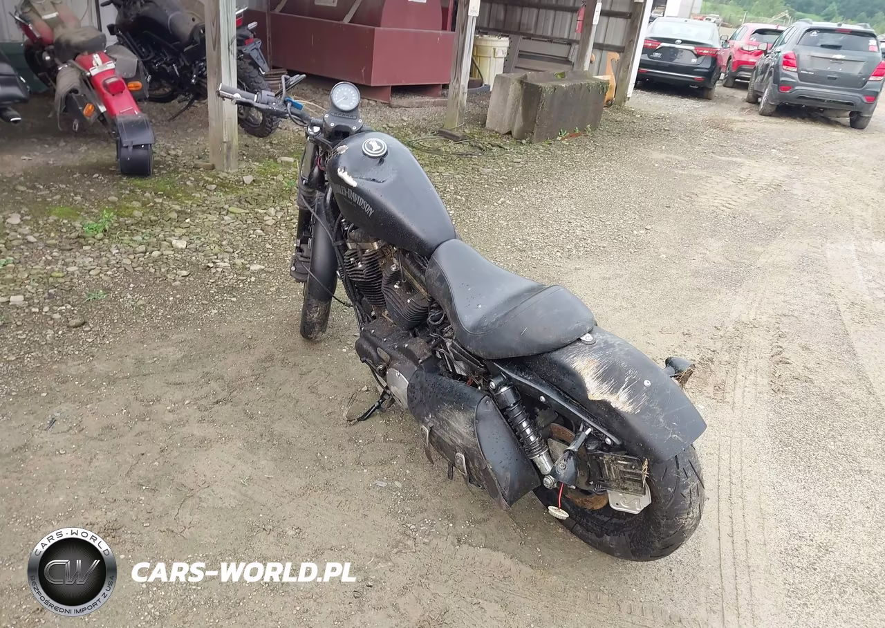 2014 Harley-Davidson Xl883 Iron 883 VIN:1HD4LE215EC435886 - 3
