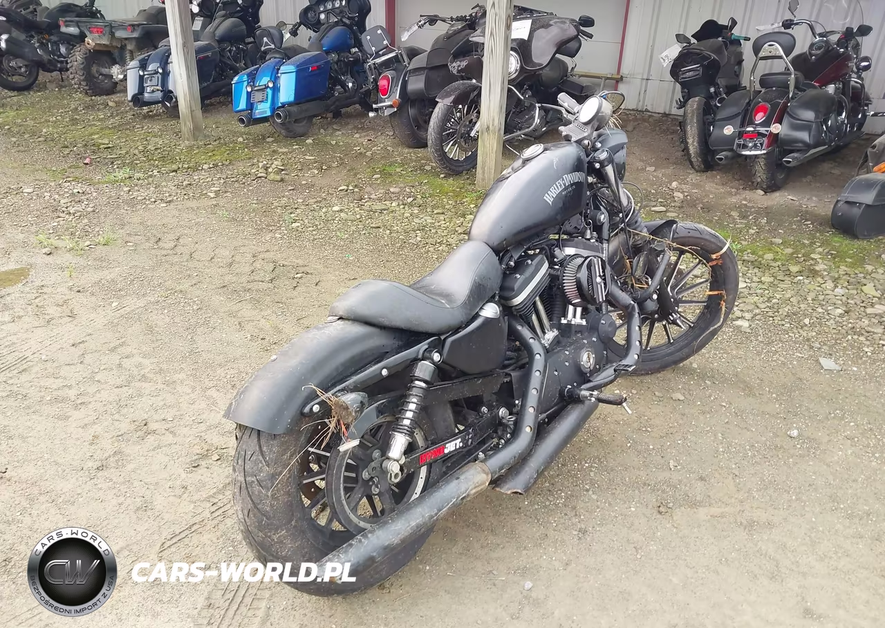 2014 Harley-Davidson Xl883 Iron 883 VIN:1HD4LE215EC435886 - 4