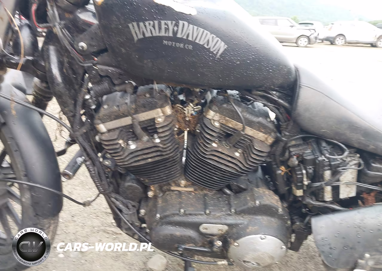 2014 Harley-Davidson Xl883 Iron 883 VIN:1HD4LE215EC435886 - 9