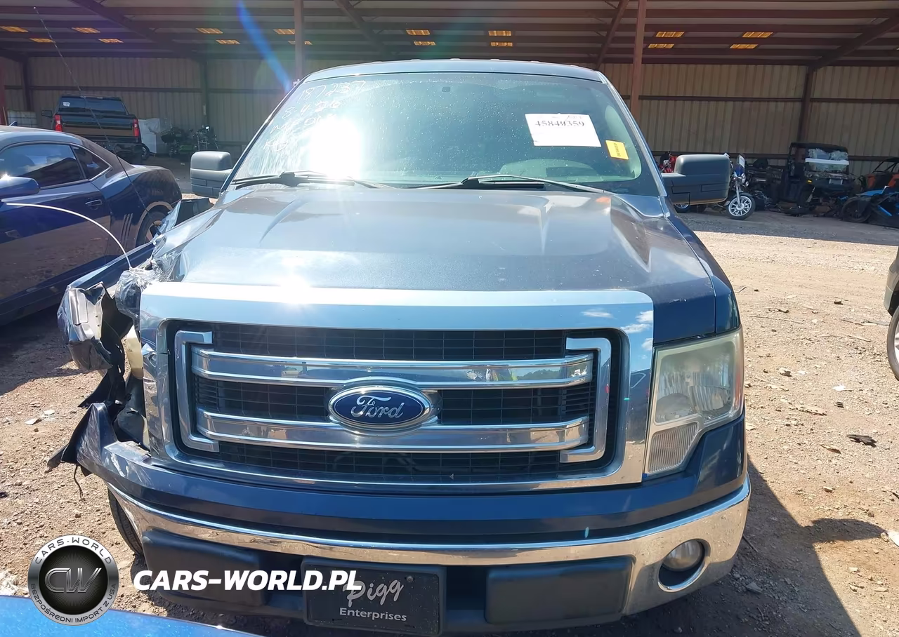2013 Ford F-150 Xlt VIN:1FTFW1CF7DFD00023 - 13