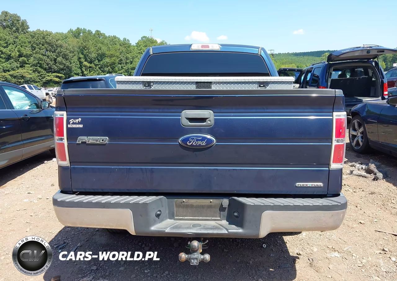 2013 Ford F-150 Xlt VIN:1FTFW1CF7DFD00023 - 17