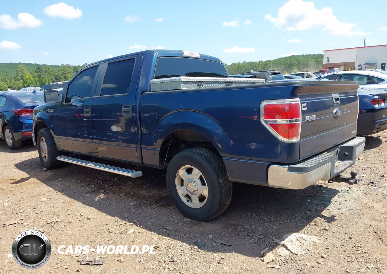2013 Ford F-150 Xlt VIN:1FTFW1CF7DFD00023 - 3