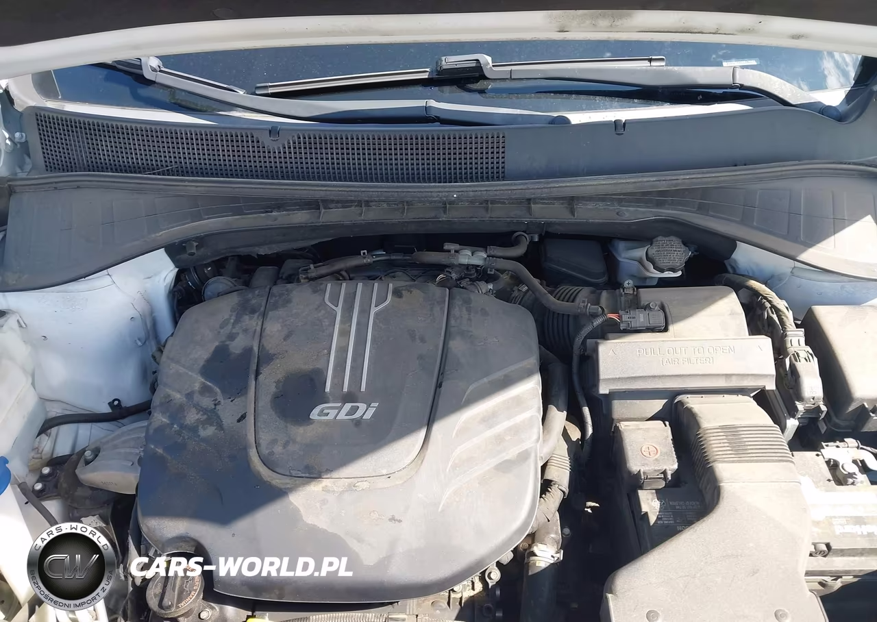 2016 Kia Sorento 3.3L Ex VIN:5XYPH4A55GG174983 - 10