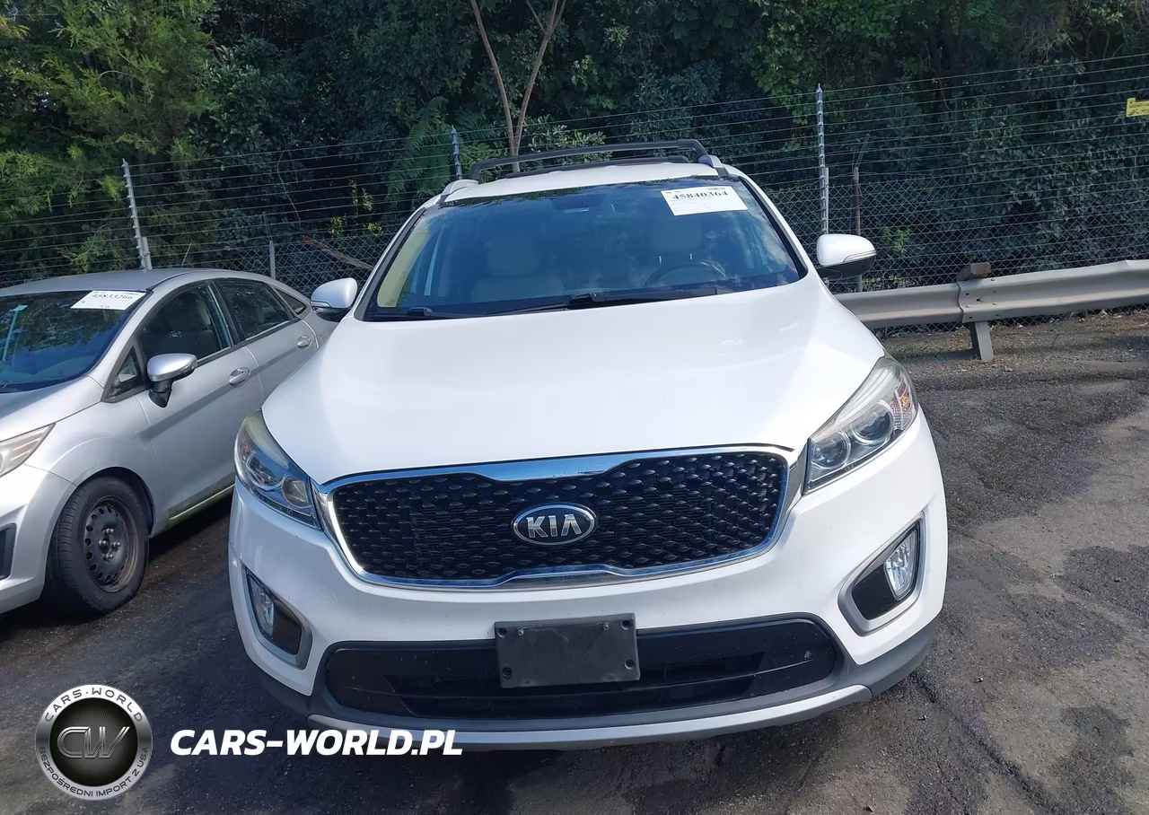 2016 Kia Sorento 3.3L Ex VIN:5XYPH4A55GG174983 - 12