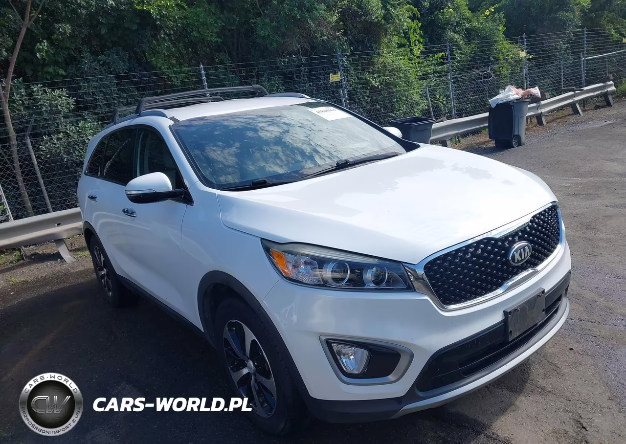 2016 Kia Sorento 3.3L Ex VIN:5XYPH4A55GG174983 - 13