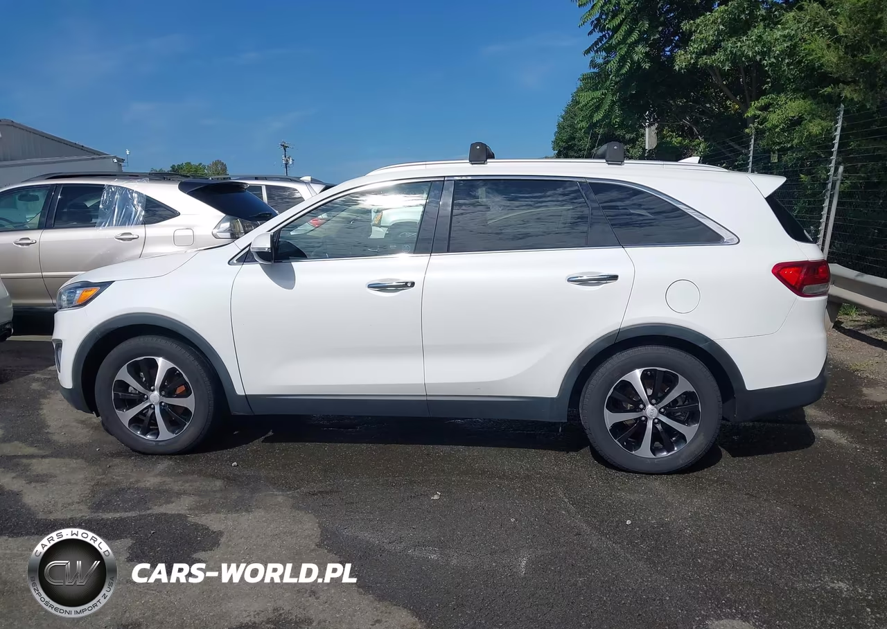 2016 Kia Sorento 3.3L Ex VIN:5XYPH4A55GG174983 - 14