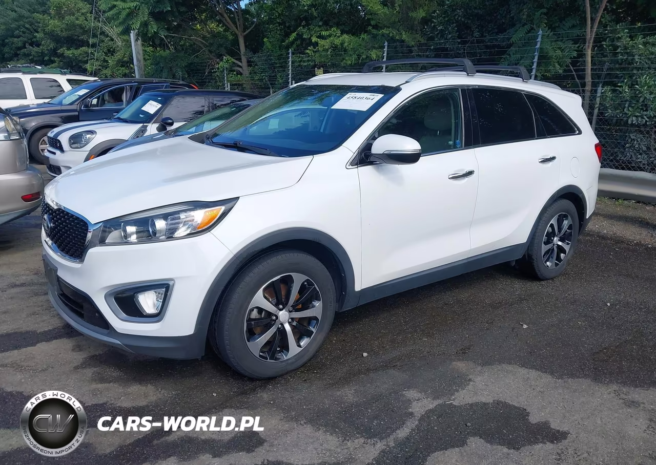 2016 Kia Sorento 3.3L Ex VIN:5XYPH4A55GG174983 - 2